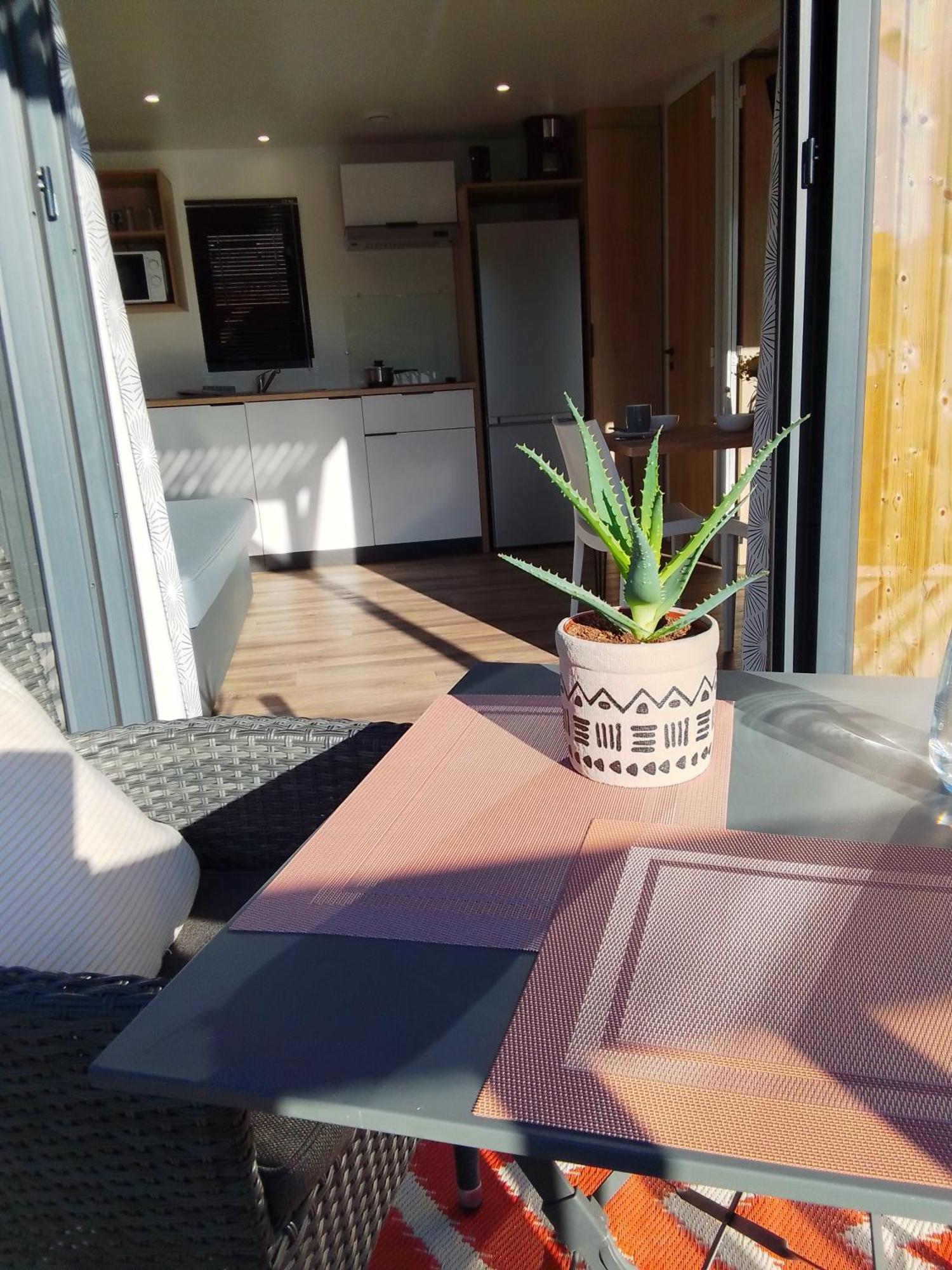 Camping Les Lodges Du Lagon Calvisson Esterno foto